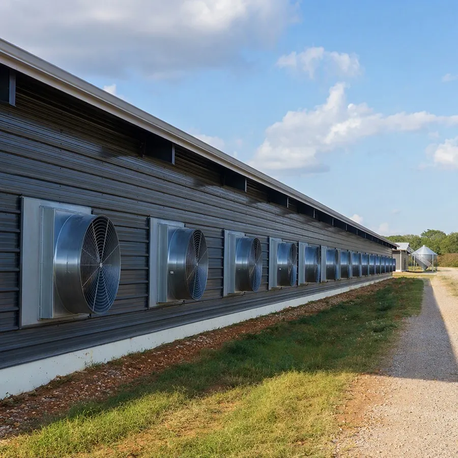 Poultry / Chicken Farm House