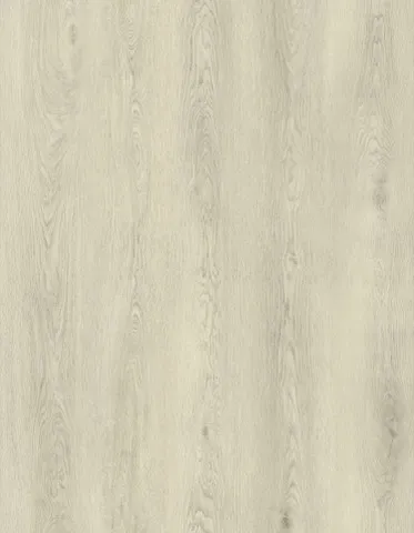 SPC Flooring AE 209