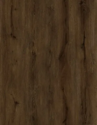 SPC Flooring AE 119