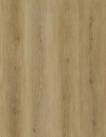 SPC Flooring AE 123