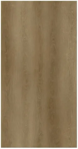 SPC Flooring AE 163
