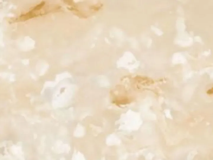 SPC Wall Panel Sand Beige